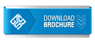 Global-Success-Solutions-Broucher-Download